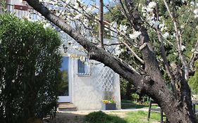 Rez De Villa Avec Belle Vue Et Piscine